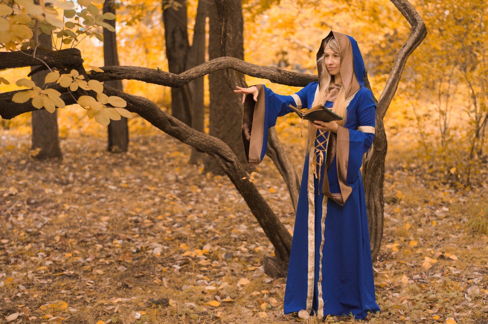 postać ze świata fantasy, cosplay