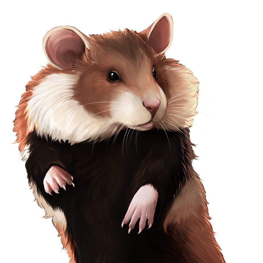 Feldhamster Schlesien