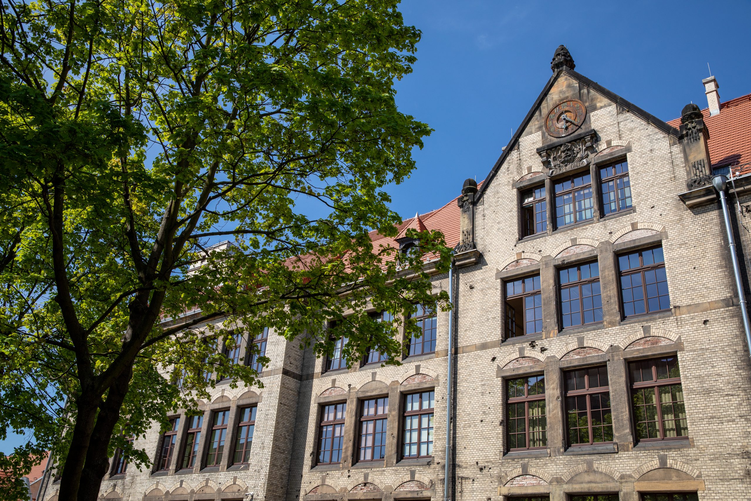 Budynek z jasnej cegły z dużymi oknami i ozdobnym szczytem. Po lewej stronie rośnie duże drzewo na tle błękitnego nieba.